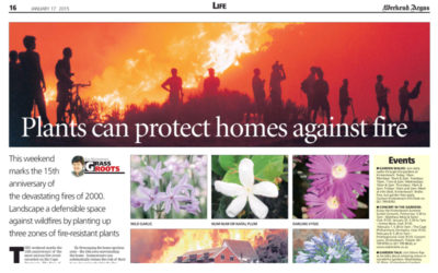 Plants can protect homes against fire