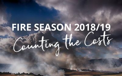 A devastating fire season – the goFPA counts the costs