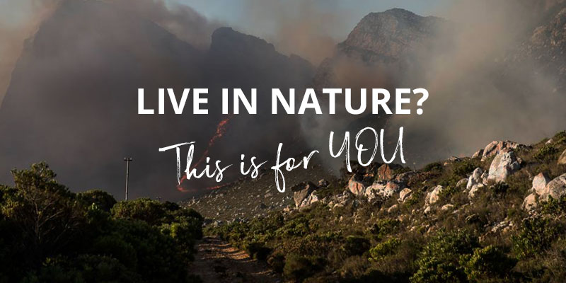 Do you live in nature? This is for YOU
