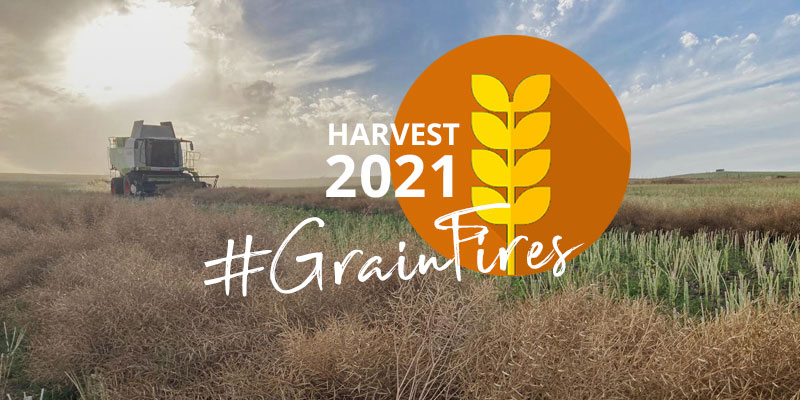 Grain farmers: Harvest season is underway in the Overberg