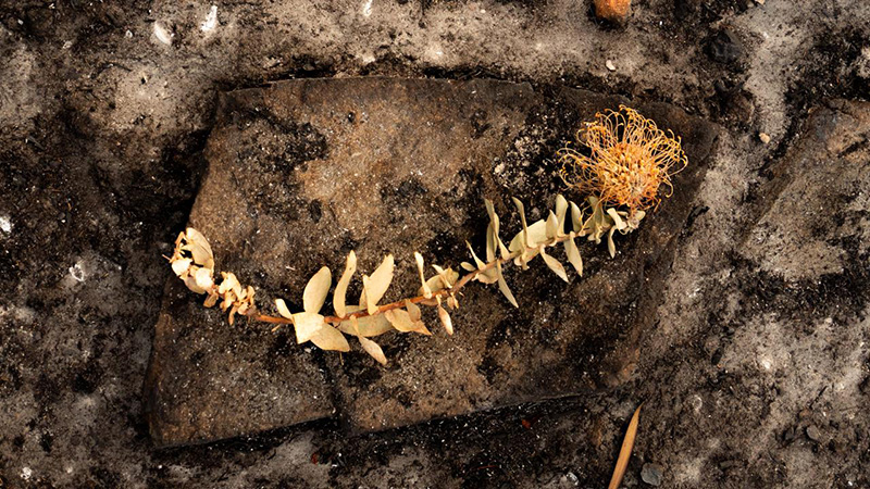 Managing fynbos = Managing fire