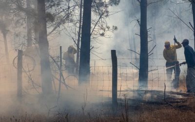 Firebreaks that worked: Preparation pays off in Stanford