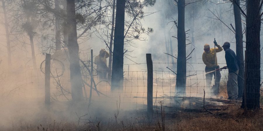 Firebreaks that worked: Preparation pays off in Stanford