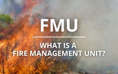 What is a Fire Management Unit (FMU)?